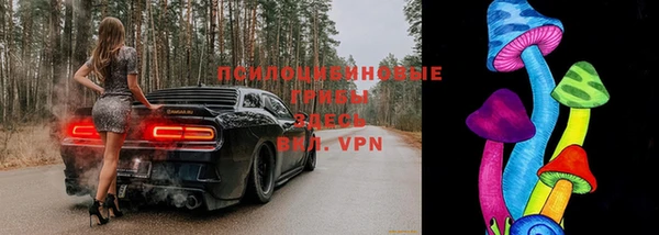 скорость Арсеньев
